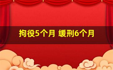 拘役5个月 缓刑6个月